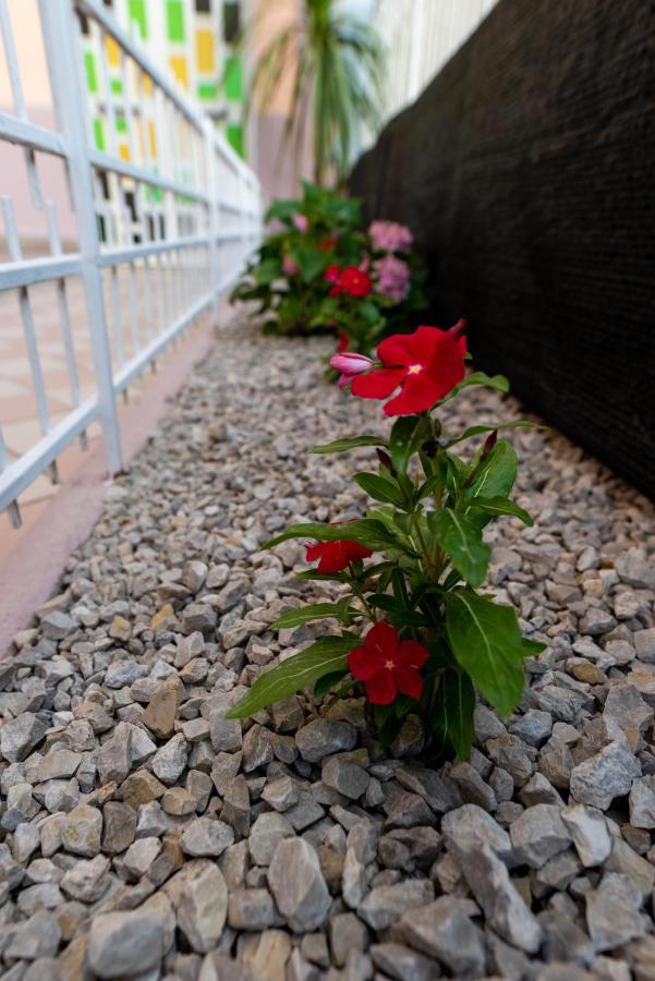 Bed and Breakfast L' edera Corleone Exterior foto