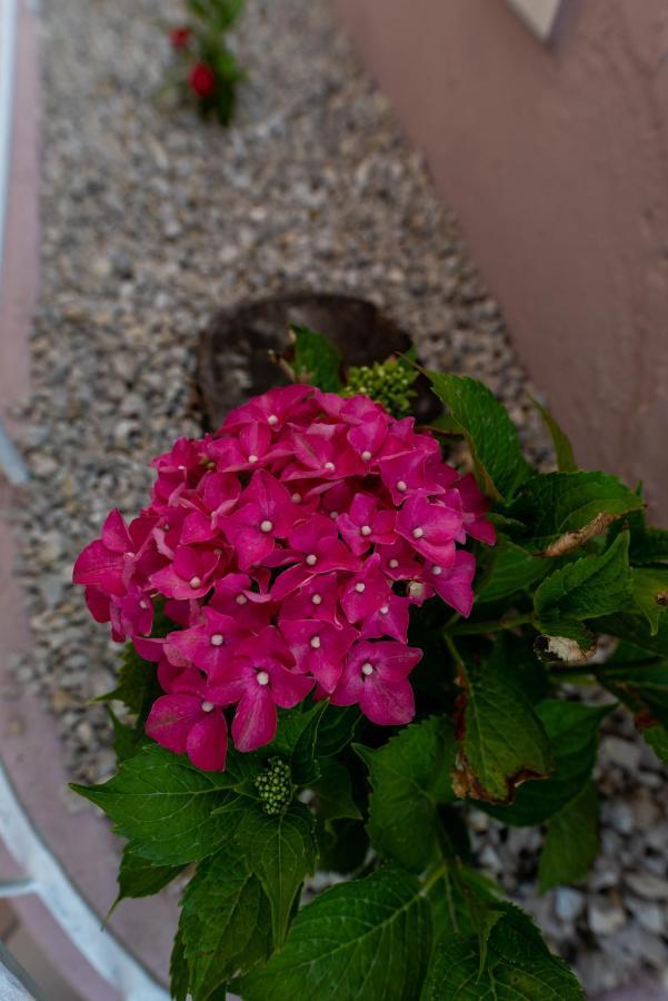 Bed and Breakfast L' edera Corleone Exterior foto